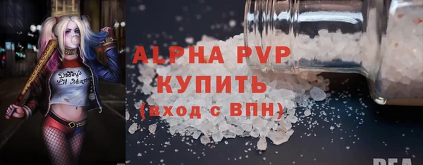 ECSTASY Бородино