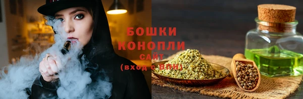 ECSTASY Бородино