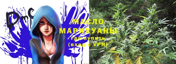 ECSTASY Бородино