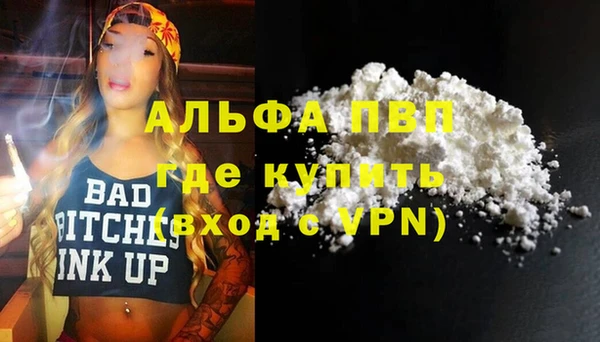 ECSTASY Бородино