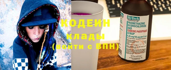 ECSTASY Бородино