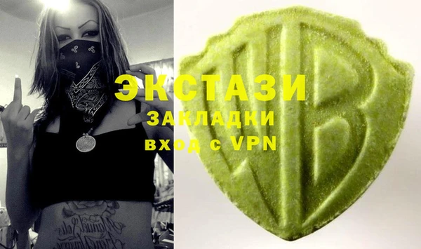 ECSTASY Бородино