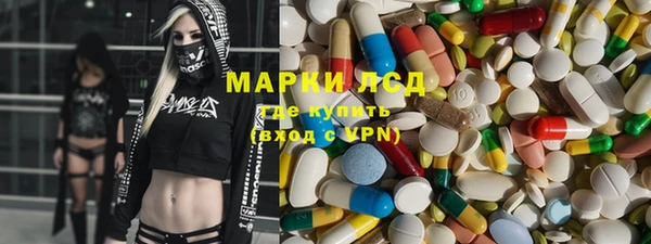 ECSTASY Бородино
