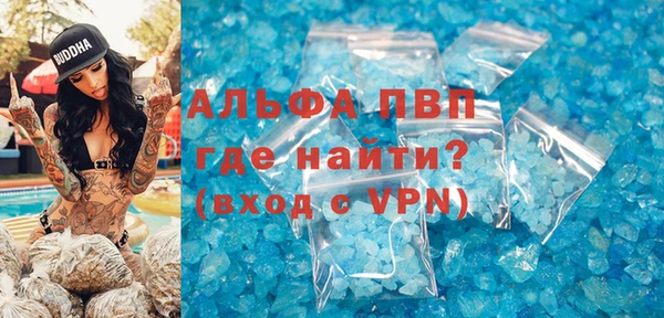 ECSTASY Бородино
